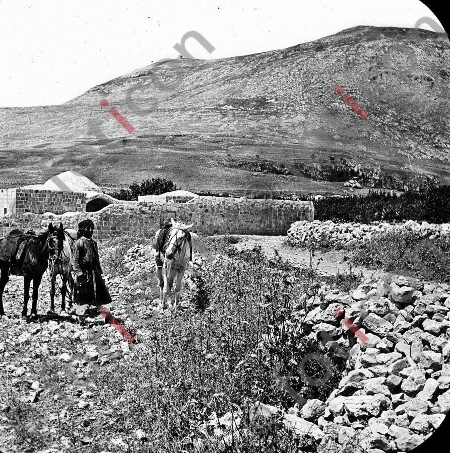 Hirten in Palästina | Shepherds in Palestine (foticon-simon-heiligesland-54-053-sw.jpg)